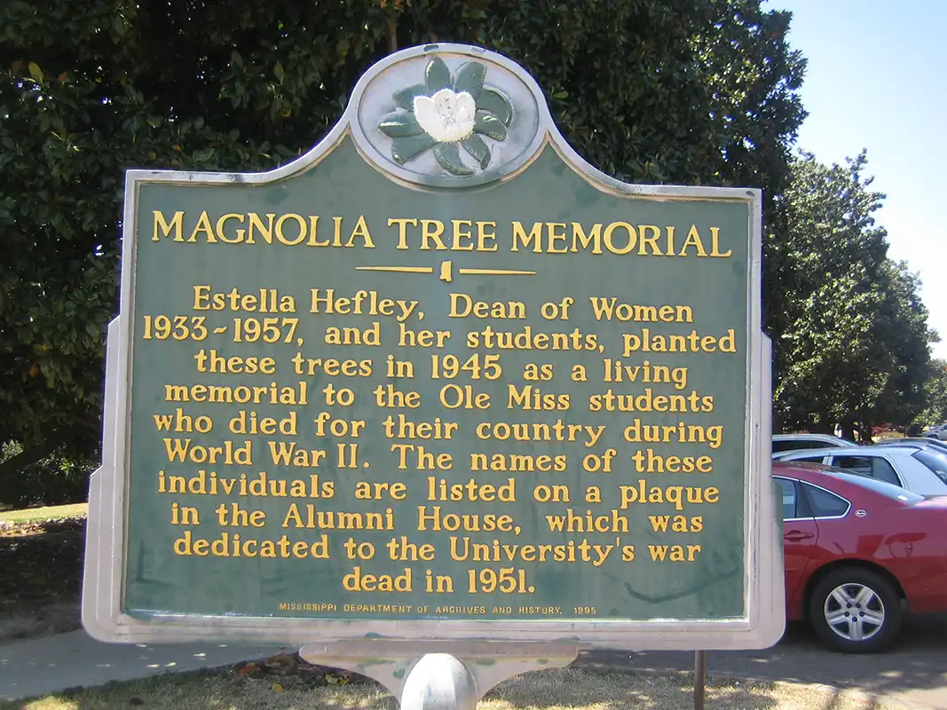 There are at least 171 magnolia trees for each student who died in the two world wars. The Magnolia Tree Memorial is across from the Peddle Bell Tower at Paris-Yates Chapel.